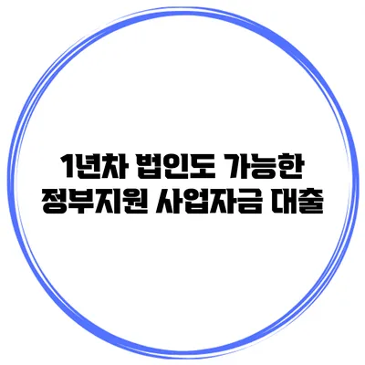 1년차 법인도 가능한 정부지원 사업자금 대출