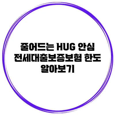 줄어드는 HUG 안심 전세대출보증보험 한도 알아보기